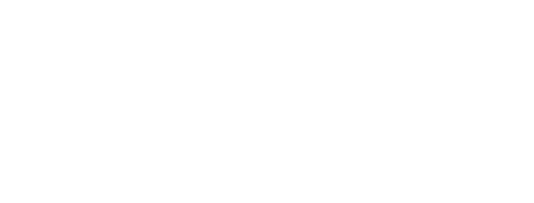 Connex Academy white logo